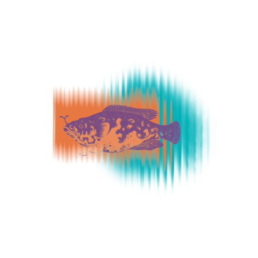 Бяла тениска с принт риба |||